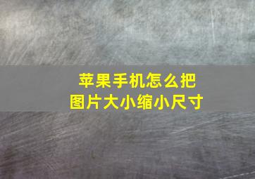 苹果手机怎么把图片大小缩小尺寸