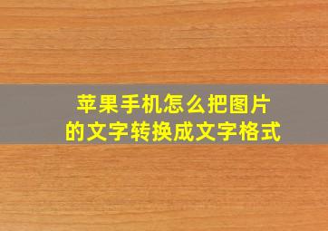 苹果手机怎么把图片的文字转换成文字格式