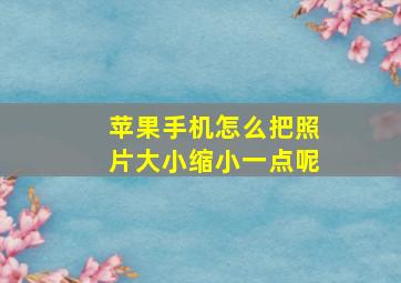 苹果手机怎么把照片大小缩小一点呢