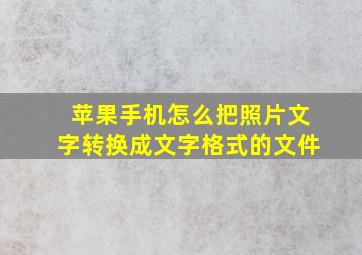 苹果手机怎么把照片文字转换成文字格式的文件