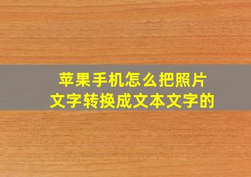 苹果手机怎么把照片文字转换成文本文字的