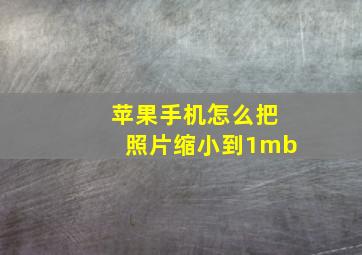 苹果手机怎么把照片缩小到1mb