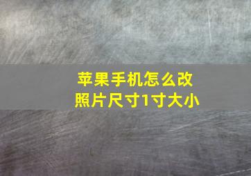 苹果手机怎么改照片尺寸1寸大小