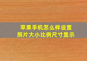 苹果手机怎么样设置照片大小比例尺寸显示