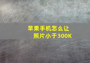 苹果手机怎么让照片小于300K