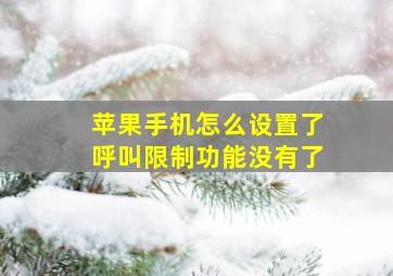 苹果手机怎么设置了呼叫限制功能没有了