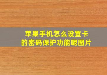 苹果手机怎么设置卡的密码保护功能呢图片