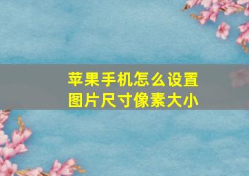 苹果手机怎么设置图片尺寸像素大小