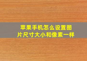 苹果手机怎么设置图片尺寸大小和像素一样