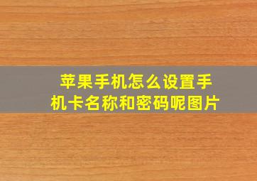 苹果手机怎么设置手机卡名称和密码呢图片