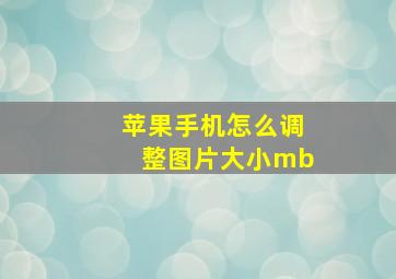 苹果手机怎么调整图片大小mb