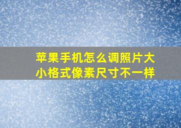 苹果手机怎么调照片大小格式像素尺寸不一样