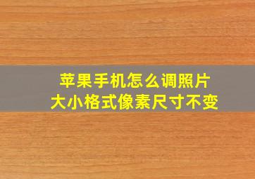 苹果手机怎么调照片大小格式像素尺寸不变