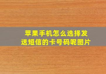 苹果手机怎么选择发送短信的卡号码呢图片