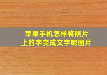 苹果手机怎样将照片上的字变成文字呢图片