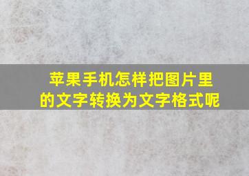 苹果手机怎样把图片里的文字转换为文字格式呢