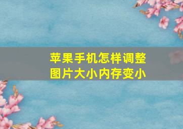 苹果手机怎样调整图片大小内存变小