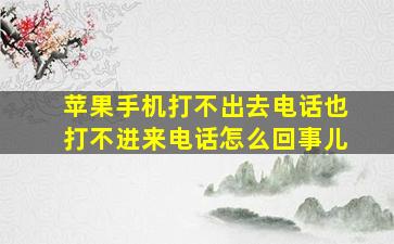 苹果手机打不出去电话也打不进来电话怎么回事儿