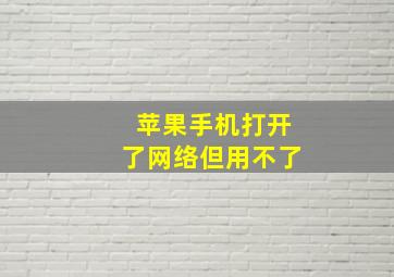 苹果手机打开了网络但用不了