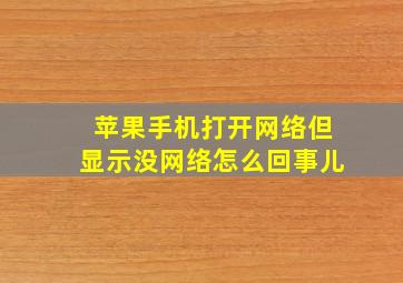 苹果手机打开网络但显示没网络怎么回事儿