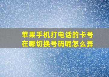 苹果手机打电话的卡号在哪切换号码呢怎么弄