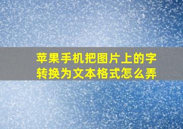 苹果手机把图片上的字转换为文本格式怎么弄