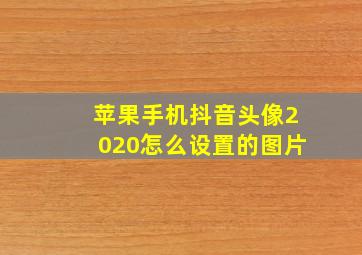 苹果手机抖音头像2020怎么设置的图片