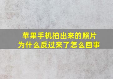 苹果手机拍出来的照片为什么反过来了怎么回事