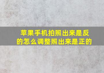 苹果手机拍照出来是反的怎么调整照出来是正的