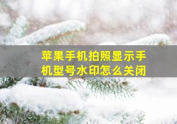 苹果手机拍照显示手机型号水印怎么关闭