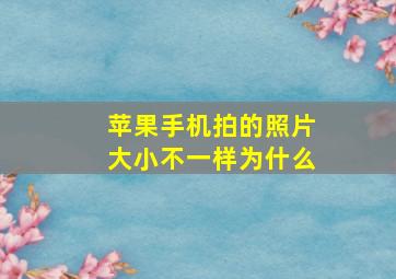 苹果手机拍的照片大小不一样为什么