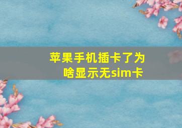 苹果手机插卡了为啥显示无sim卡