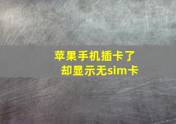 苹果手机插卡了却显示无sim卡