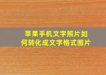 苹果手机文字照片如何转化成文字格式图片