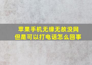 苹果手机无缘无故没网但是可以打电话怎么回事