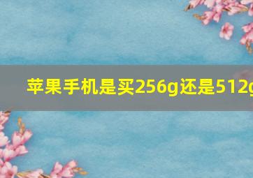 苹果手机是买256g还是512g