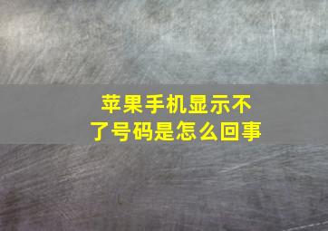 苹果手机显示不了号码是怎么回事