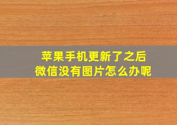 苹果手机更新了之后微信没有图片怎么办呢