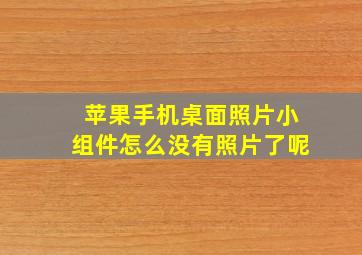 苹果手机桌面照片小组件怎么没有照片了呢