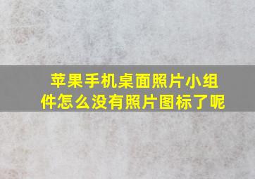 苹果手机桌面照片小组件怎么没有照片图标了呢