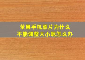 苹果手机照片为什么不能调整大小呢怎么办