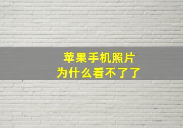 苹果手机照片为什么看不了了