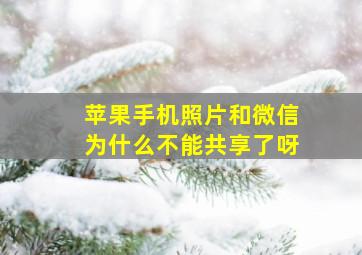 苹果手机照片和微信为什么不能共享了呀