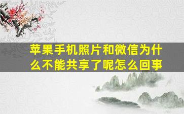 苹果手机照片和微信为什么不能共享了呢怎么回事