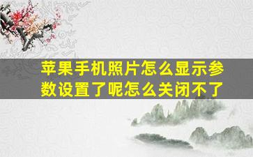 苹果手机照片怎么显示参数设置了呢怎么关闭不了