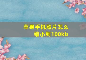 苹果手机照片怎么缩小到100kb