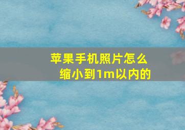 苹果手机照片怎么缩小到1m以内的