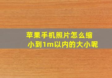 苹果手机照片怎么缩小到1m以内的大小呢