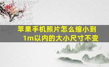 苹果手机照片怎么缩小到1m以内的大小尺寸不变