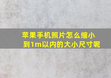 苹果手机照片怎么缩小到1m以内的大小尺寸呢